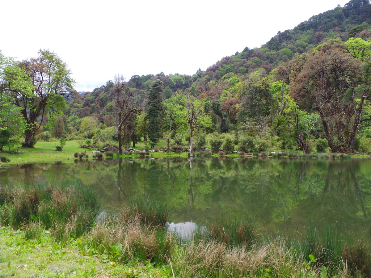 The Royal Botanical Park23